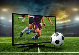 解析多伦多蓝鸟队的全国性支持